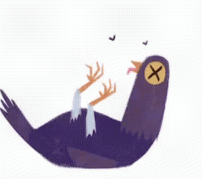 Dead Pigeon With Cross On Face Laying On Back GIF