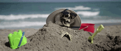 Dead Skeleton In The Beach GIF