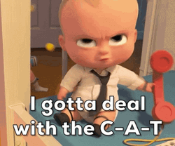 Deal With Cat Jimbo Boss Baby GIF