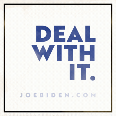 Deal With It Poster GIF