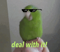 Deal With It World GIF