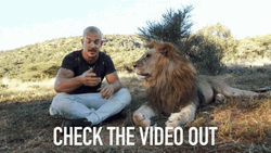 Dean Schneider Video Spiel GIF