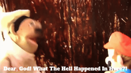 Dear God What The Hell Happened In Here On Screen GIF