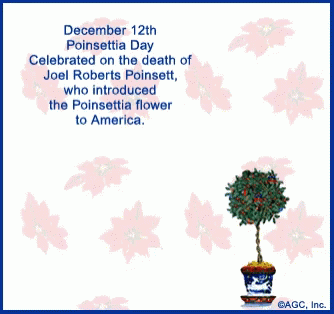 December 12Th Poinsettia Day Is Celebrated On The Death Of Joel Roberts Poinsett GIF