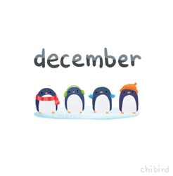 December Penguins On Ice