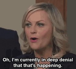 Deep Denial Amy Poehler GIF