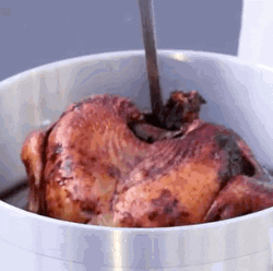 Deep Fried Turkey Meme GIF