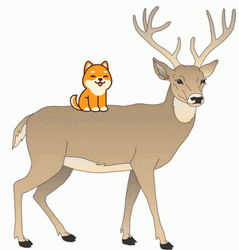 Deer And Shiba Inu GIF