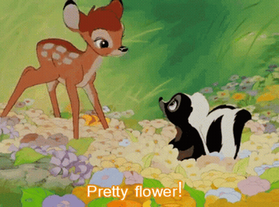 Deer And Skunk In Flowers Saying Pretty Flower GIF