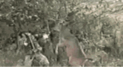 Deer Attacking Hunter GIF