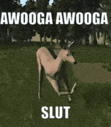 Deer Doing Awooga Gangnam Dance GIF