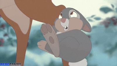 Deer Holding Cartoon Rabbit Redecanals GIF
