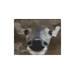 Deer Nose Close Up Sticker