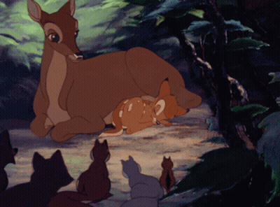 Deer Nursing Her Baby GIF