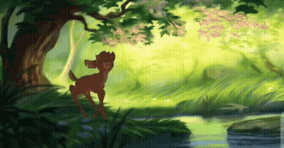 Deer Standing By River GIF