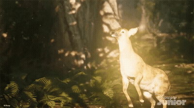 Deer Standing In Forest GIF
