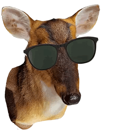 Deer Wearing Sunglasses Sticker