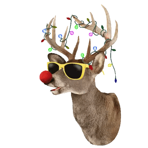 Deer With Sunglasses And Christmas Lights Sticker