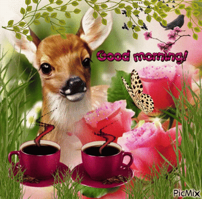 Deer With Two Cups Of Coffee Saying Good Morning GIF
