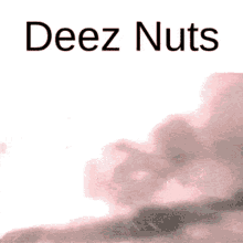 Deez Nuts Anime Explosion