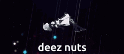 Deez Nuts Genshin Impact