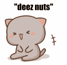 Deez Nuts Goma Cat Laugh