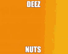 Deez Nuts Orange Cute Cartoon