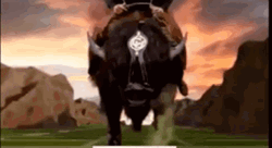 Deion Sanders Cowboy Bull GIF