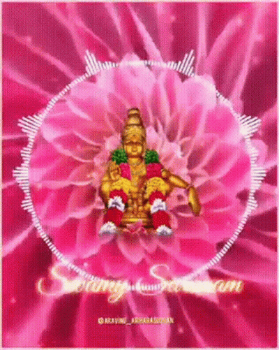 Deity Sitting On Pink Flower Amid Pink Flowers GIF