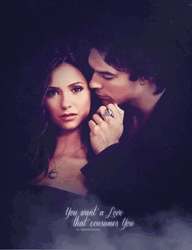 Delena Vampire Diaries Aesthetic Poster Art GIF