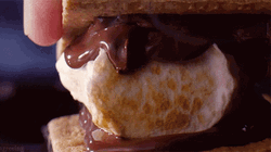 Delightful Chocolate Smores Smash GIF