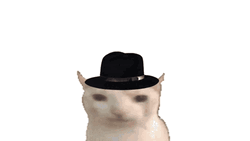 Deltarune Explosion Cat Wearing A Hat GIF