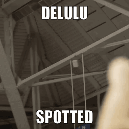 Delulu Spotted Sign GIF