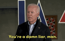 Democrat President Joe Biden Damn Liar GIF