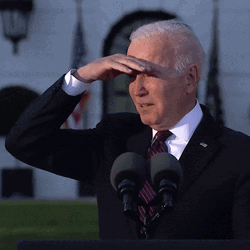 Democrat President Joe Biden Shielding Eyes GIF