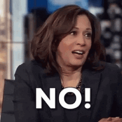 Democrat Presidential Candidate Kamala Harris No GIF