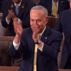 Democratic Party Chuck Schumer Aplausos GIF