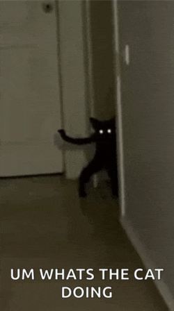 Demon Cat Meme GIF