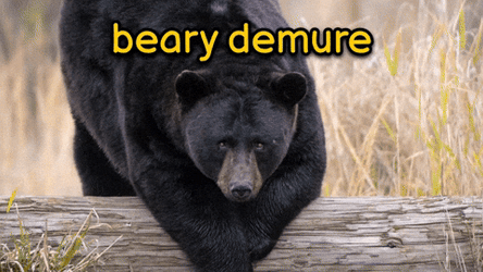 Demure GIFs | GIFDB.com