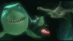 Denial Scary Shark Finding Nemo GIF