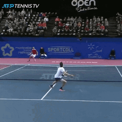 Denis Shapovalov Gaining A Point GIF