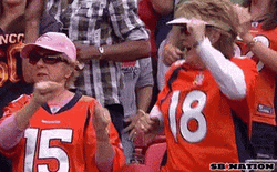 Denver Broncos Fans Cheering GIF