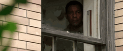 Denzel Washington Flight Peeking GIF