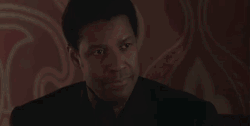 Denzel Washington Pleased Response My Man GIF