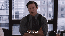 Departed Mark Wahlberg Zip None No Idea GIF