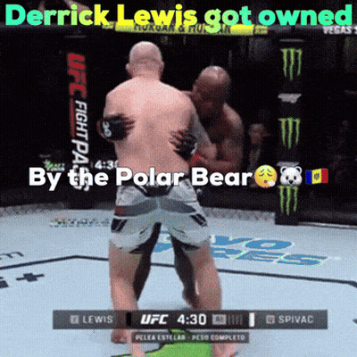 Derrick Lewis Got Owned By The Polar Bear During A Ufc Fight GIF