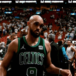 Derrick White On Boston Celtics GIF