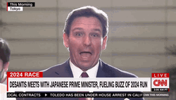 Desantis On A Report GIF
