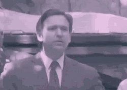 Desantis Unconvinced Smile GIF