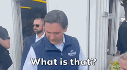 Desantis What Is That GIF